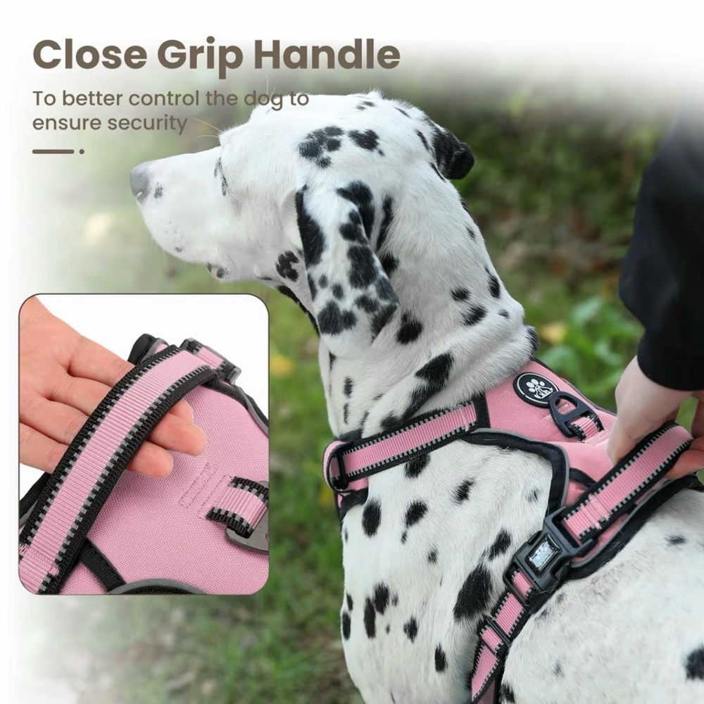 CLEAR OUT SALE! NWOT Plaid Padded Dog Harness with Matching Rope Leash Size L - Picture 10 of 17